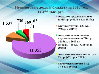 Неналоговые доходы бюджета за 2020 год, 14 455 тыс. руб.